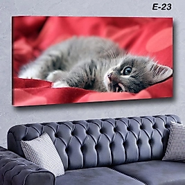MERCAN MOBİLYA VE AKSESUAR ,70*130 KEDİ KANVAS KABLO