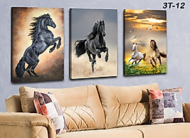 MERCAN MOBİLYA  VE AKSESUAR ,3 LU AT TABLOSU   KANVAS TABLO